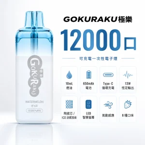 GOKURAKU 極樂 一次性電子煙 12000口 13W恆定輸出 ICE冰感 智慧螢幕顯示